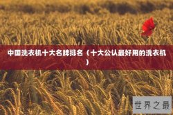 中国洗衣机十大名牌排名（十大公认最好用的洗衣机）
