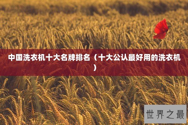 中国洗衣机十大名牌排名（十大公认最好用的洗衣机）