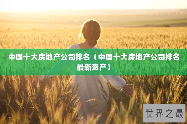 中国十大房地产公司排名（中国十大房地产公司排名最新资产）