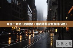 中国十大幼儿园加盟（国内幼儿园加盟排行榜）