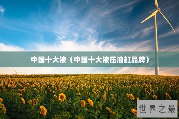 中国十大液（中国十大液压油缸品牌）