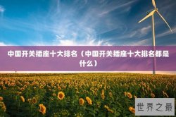 中国开关插座十大排名（中国开关插座十大排名都是什么）