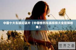 中国十大车祸纪录片（中国惨烈车祸视频大全视频收集）