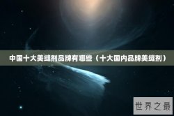 中国十大美缝剂品牌有哪些（十大国内品牌美缝剂）
