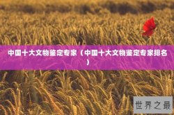 中国十大文物鉴定专家（中国十大文物鉴定专家排名）
