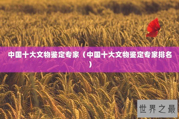 中国十大文物鉴定专家（中国十大文物鉴定专家排名）
