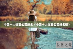 中国十大微商公司排名（中国十大微商公司排名榜）