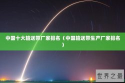 中国十大输送带厂家排名（中国输送带生产厂家排名）
