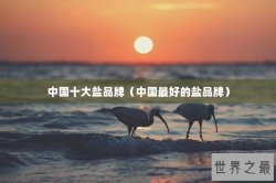 中国十大盐品牌（中国最好的盐品牌）