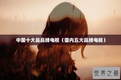 中国十大品品牌电视（国内五大品牌电视）