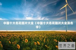 中国十大名花图片大全（中国十大名花图片大全及名字）