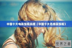 中国十大电蒸饭柜品牌（中国十大名牌蒸饭柜）