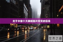 关于中国十大裸模图片欣赏的信息