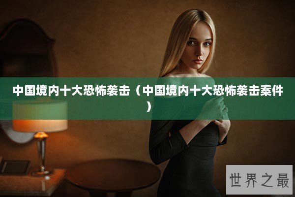 中国境内十大恐怖袭击（中国境内十大恐怖袭击案件）