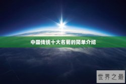 中国传统十大名菊的简单介绍