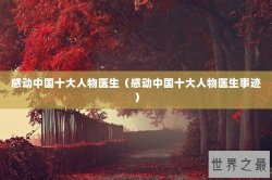 感动中国十大人物医生（感动中国十大人物医生事迹）