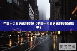 中国十大营销策划专家（中国十大营销策划专家张朔宁）
