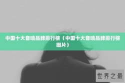 中国十大音响品牌排行榜（中国十大音响品牌排行榜图片）