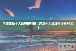 中国床垫十大品牌排行榜（床垫十大品牌排行榜2022）