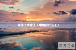 中国十大全王（中国有什么王）