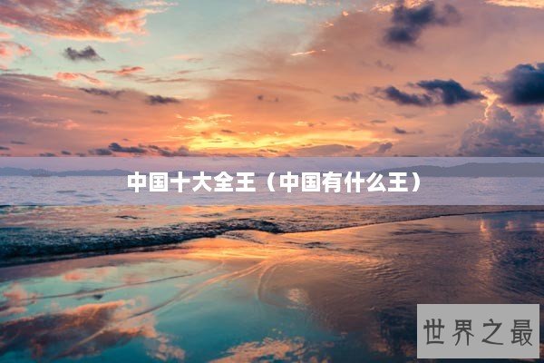 中国十大全王（中国有什么王）