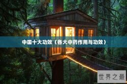 中国十大功效（各大中药作用与功效）