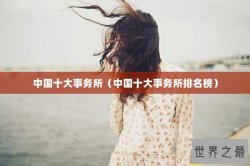 中国十大事务所（中国十大事务所排名榜）