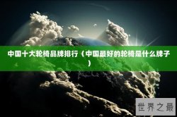 中国十大轮椅品牌排行（中国最好的轮椅是什么牌子）
