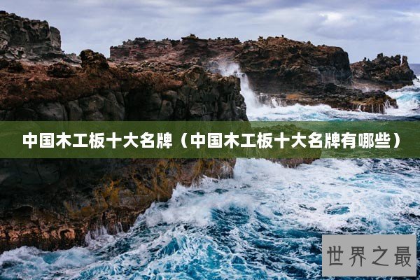 中国木工板十大名牌（中国木工板十大名牌有哪些）