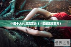 中国十大90后高富帅（中国最高高富帅）