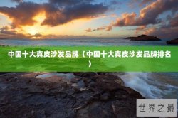 中国十大真皮沙发品牌（中国十大真皮沙发品牌排名）