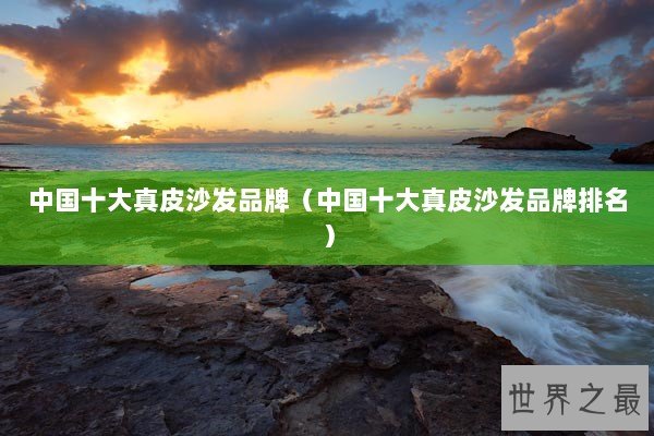 中国十大真皮沙发品牌(中国十大真皮沙发品牌排名) 中国十大真皮沙发品牌(中国十大真皮沙发品牌排名)