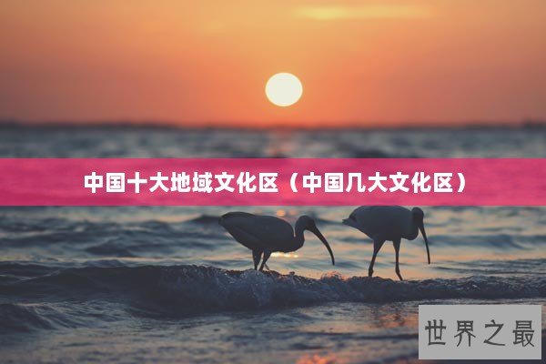 中国十大地域文化区（中国几大文化区）