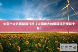 中国十大名医院排行榜（中国最大的医院排行榜前十名）