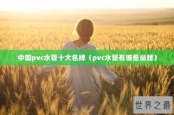 中国pvc水管十大名牌（pvc水管有哪些品牌）