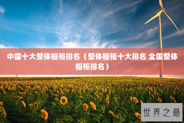 中国十大整体橱柜排名（整体橱柜十大排名 全国整体橱柜排名）