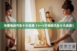 中国电动汽车十大名牌（3一5万电动汽车十大品牌）