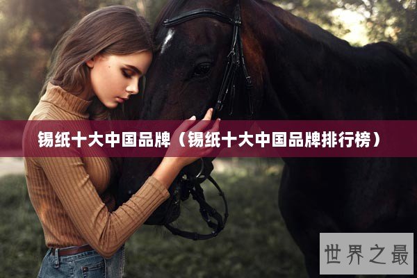 锡纸十大中国品牌（锡纸十大中国品牌排行榜）
