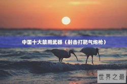 中国十大禁用武器（射击打靶气炮枪）