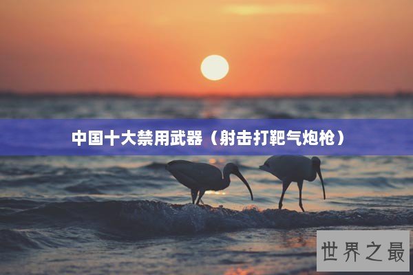 中国十大禁用武器(射击打靶气炮枪) 中国十大禁用武器(射击打靶气炮枪)