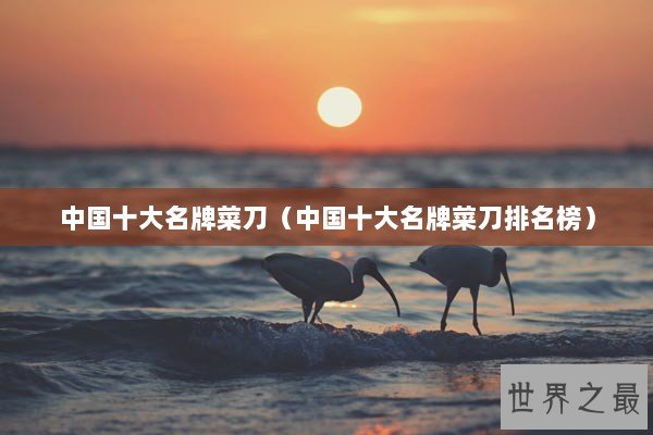 中国十大名牌菜刀（中国十大名牌菜刀排名榜）
