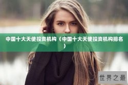 中国十大天使投资机构（中国十大天使投资机构排名）