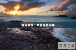 包含中国十大童品的词条