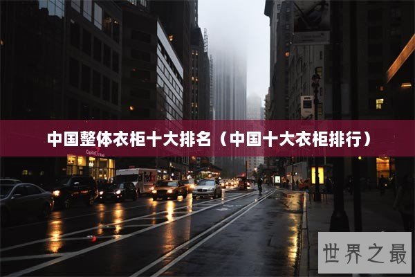 中国整体衣柜十大排名（中国十大衣柜排行）