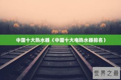中国十大热水器（中国十大电热水器排名）
