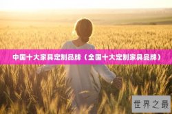 中国十大家具定制品牌（全国十大定制家具品牌）