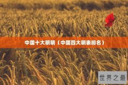 中国十大明明（中国四大明表排名）