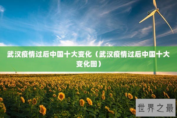 武汉疫情过后中国十大变化（武汉疫情过后中国十大变化图）