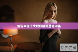 包含中国十大缝纫机品牌的词条