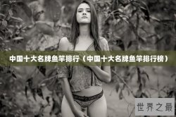 中国十大名牌鱼竿排行（中国十大名牌鱼竿排行榜）